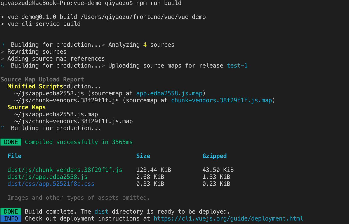 npm run build